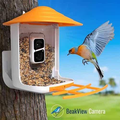 Beakview BirdCam