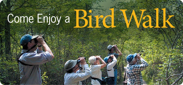 Happy Birders