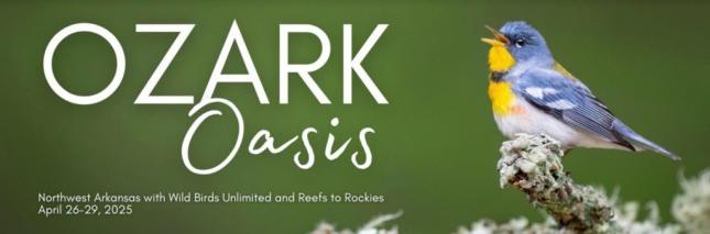 Ozarks Oasis - April 26-29, 2025